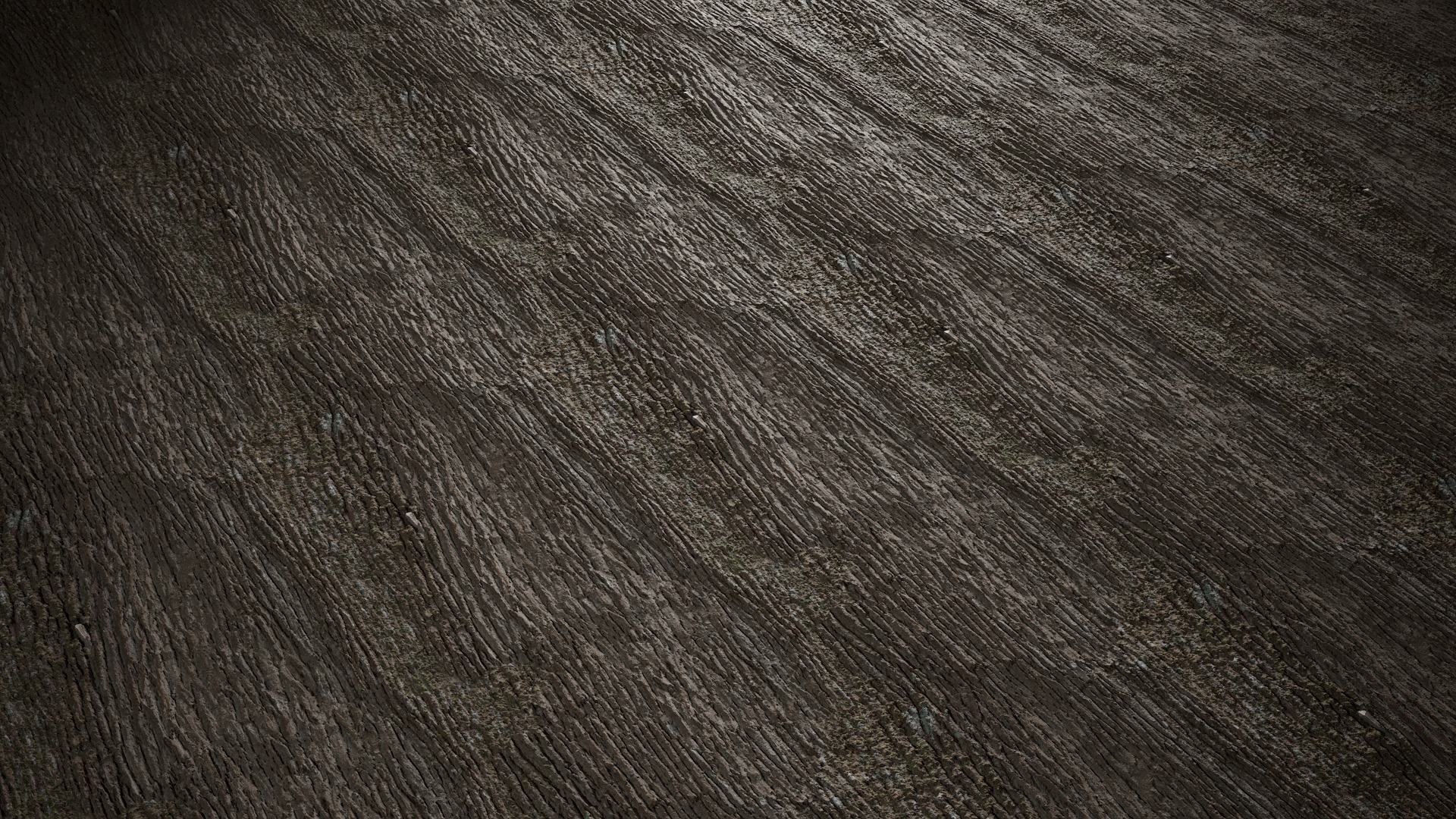 Anydrafts Abies Bark 40 Texture_4