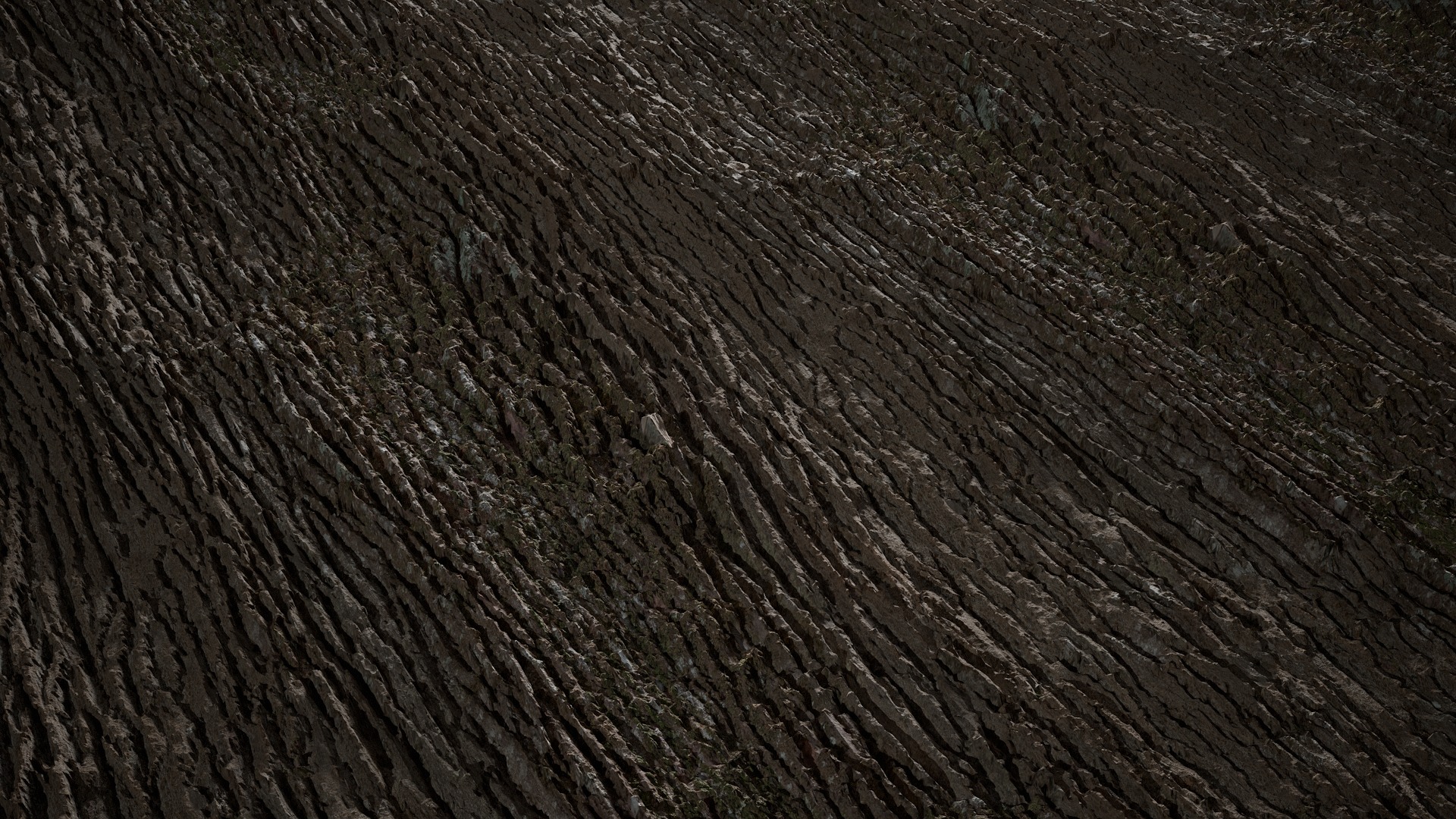 Anydrafts Abies Bark 40 Texture_2