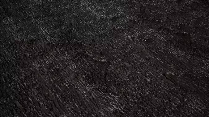 Anydrafts Abies fabri Bark 01