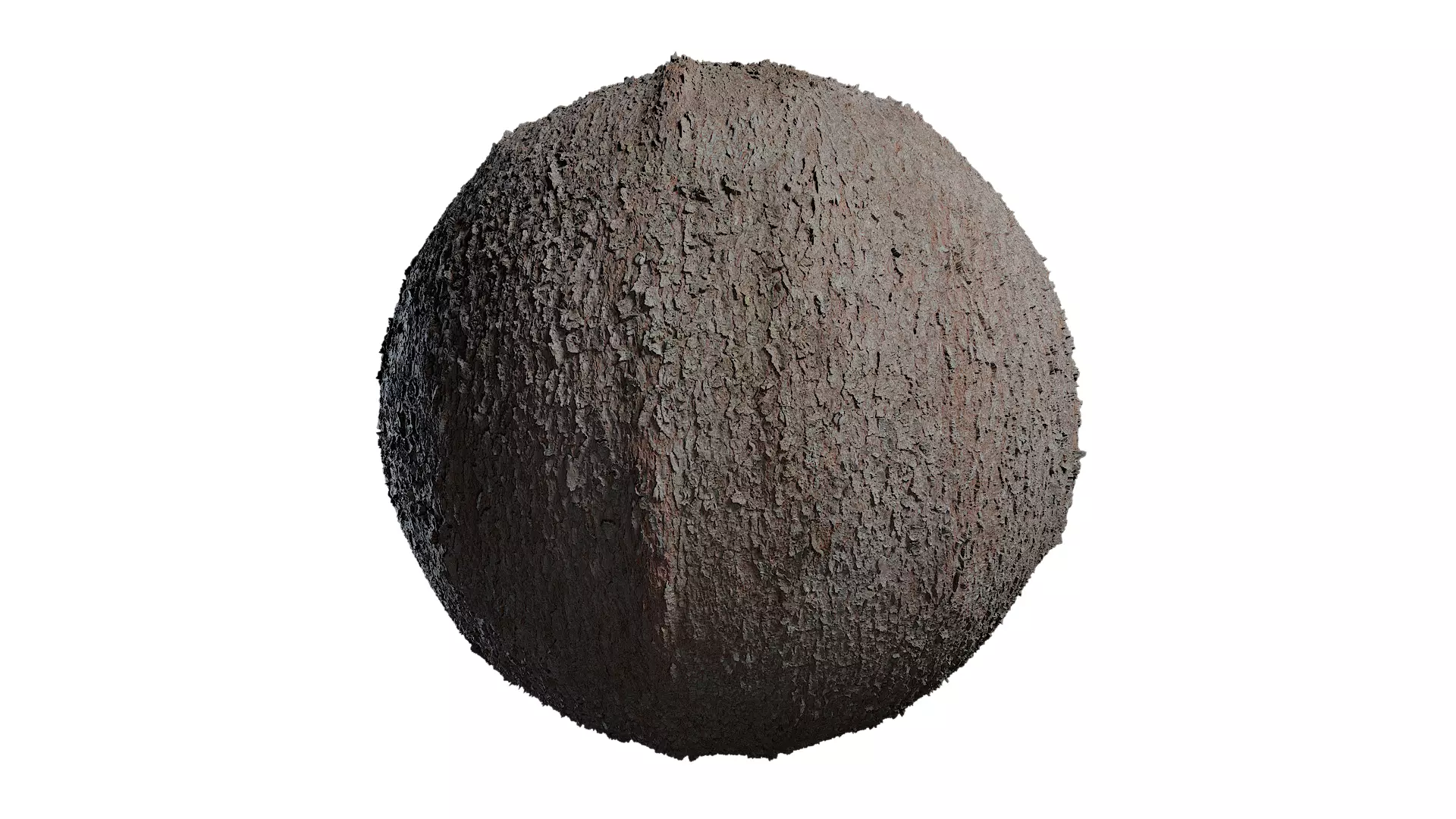 Anydrafts Abies fabri Bark 02 Texture