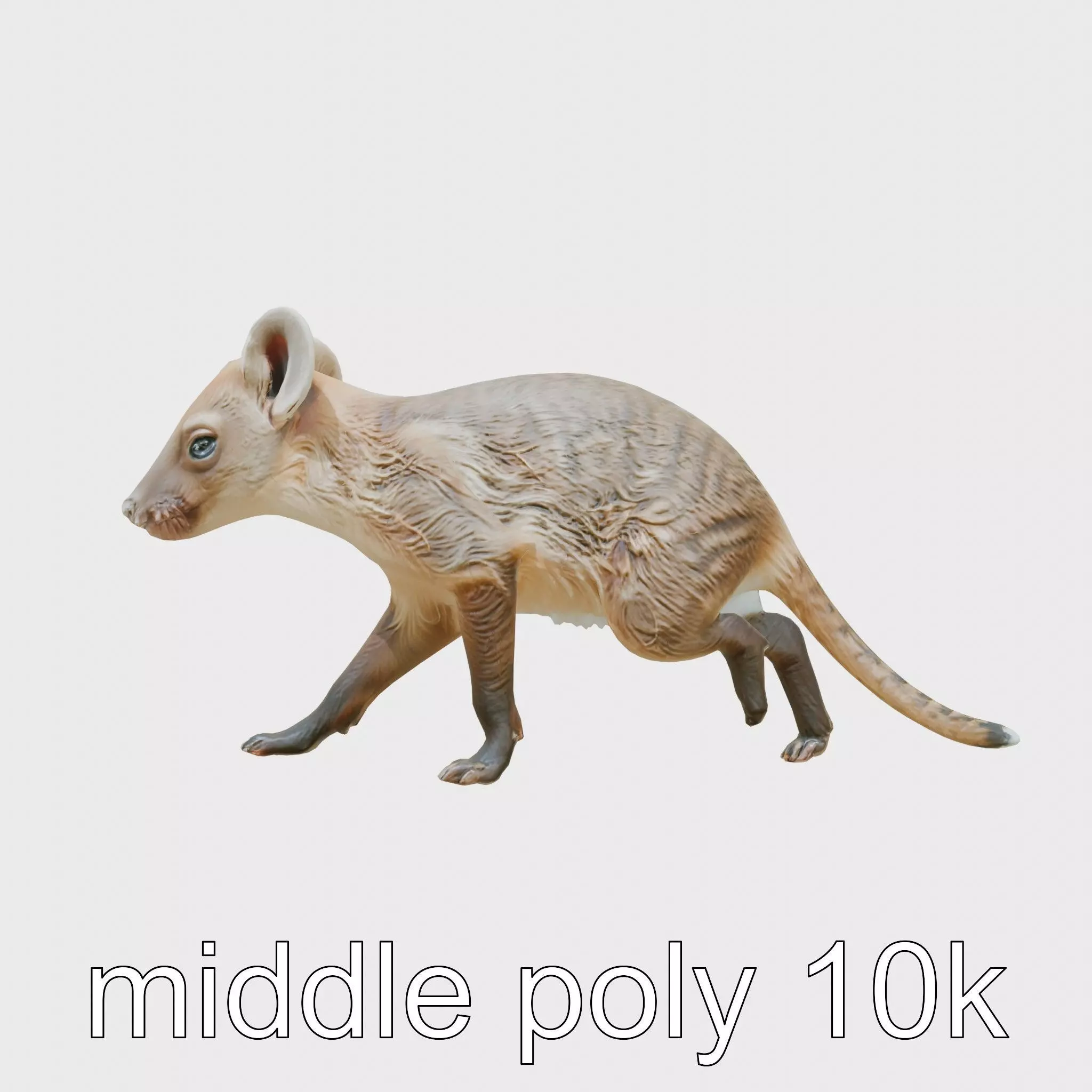 Nocturnal Wanderer Aardvark model pack Low-poly 3D model
