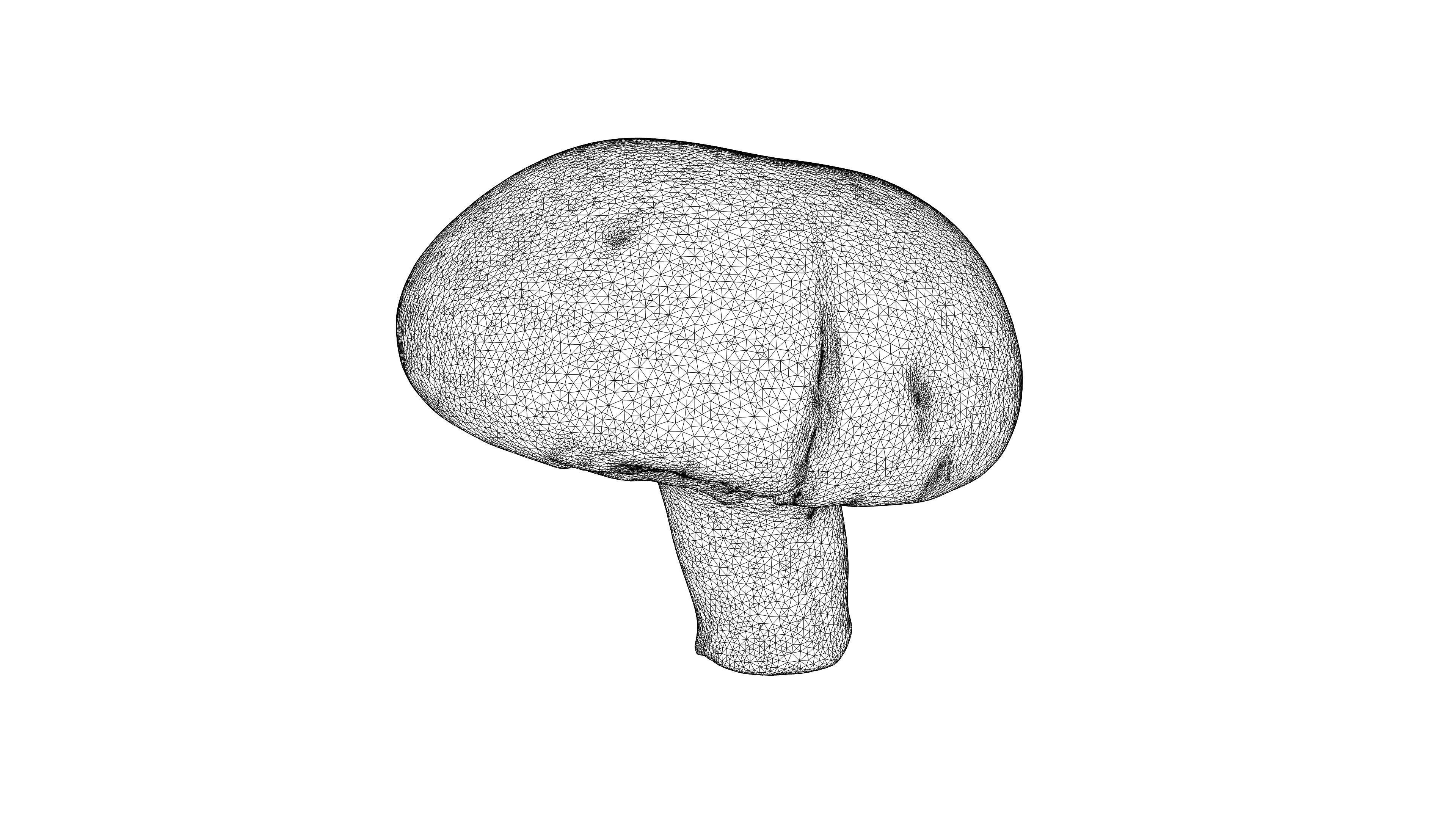 Photorealistic 3D scanning of different vegetables 3D Model Collection_12