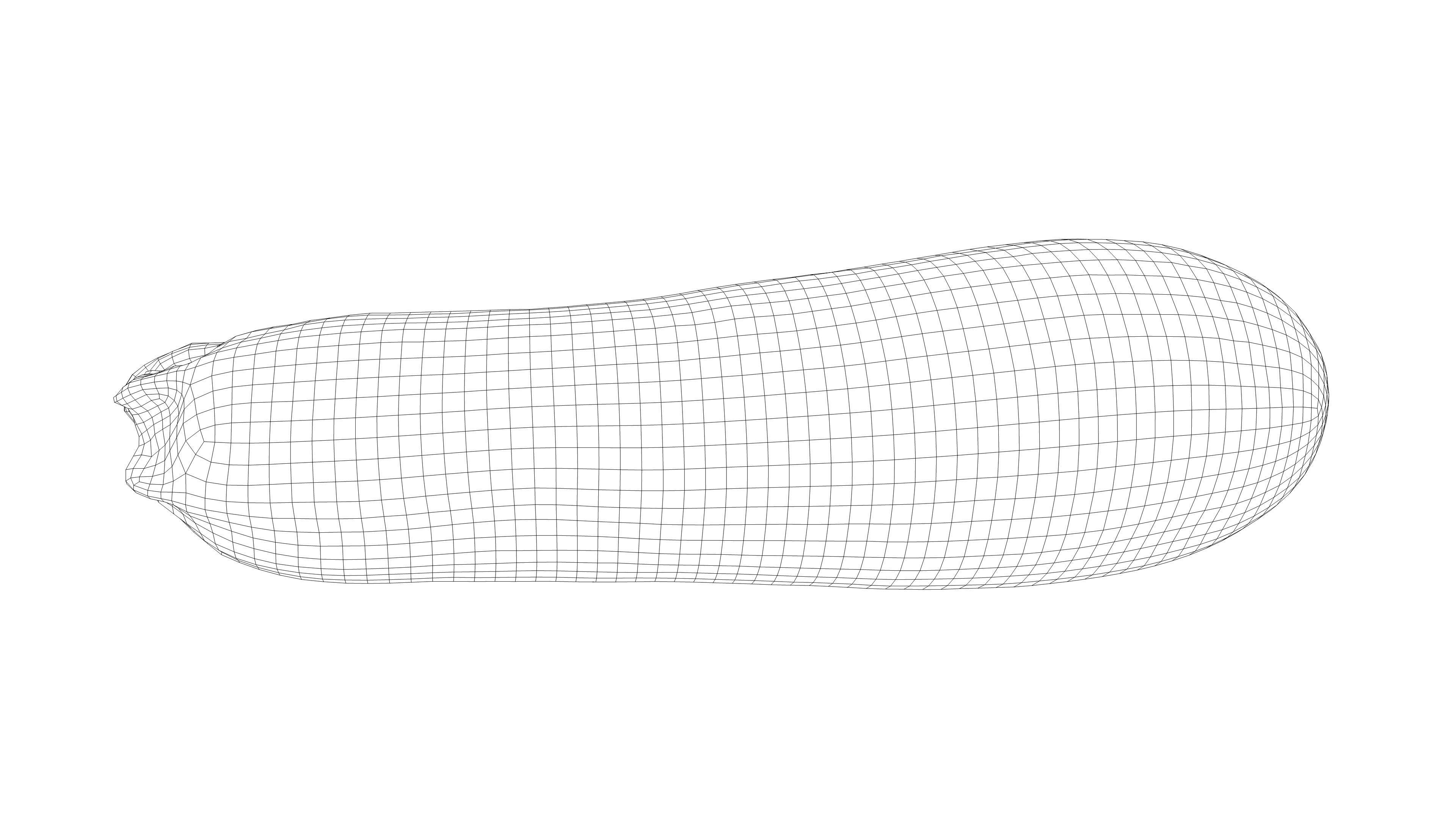 Photorealistic 3D scanning of different vegetables 3D Model Collection_17