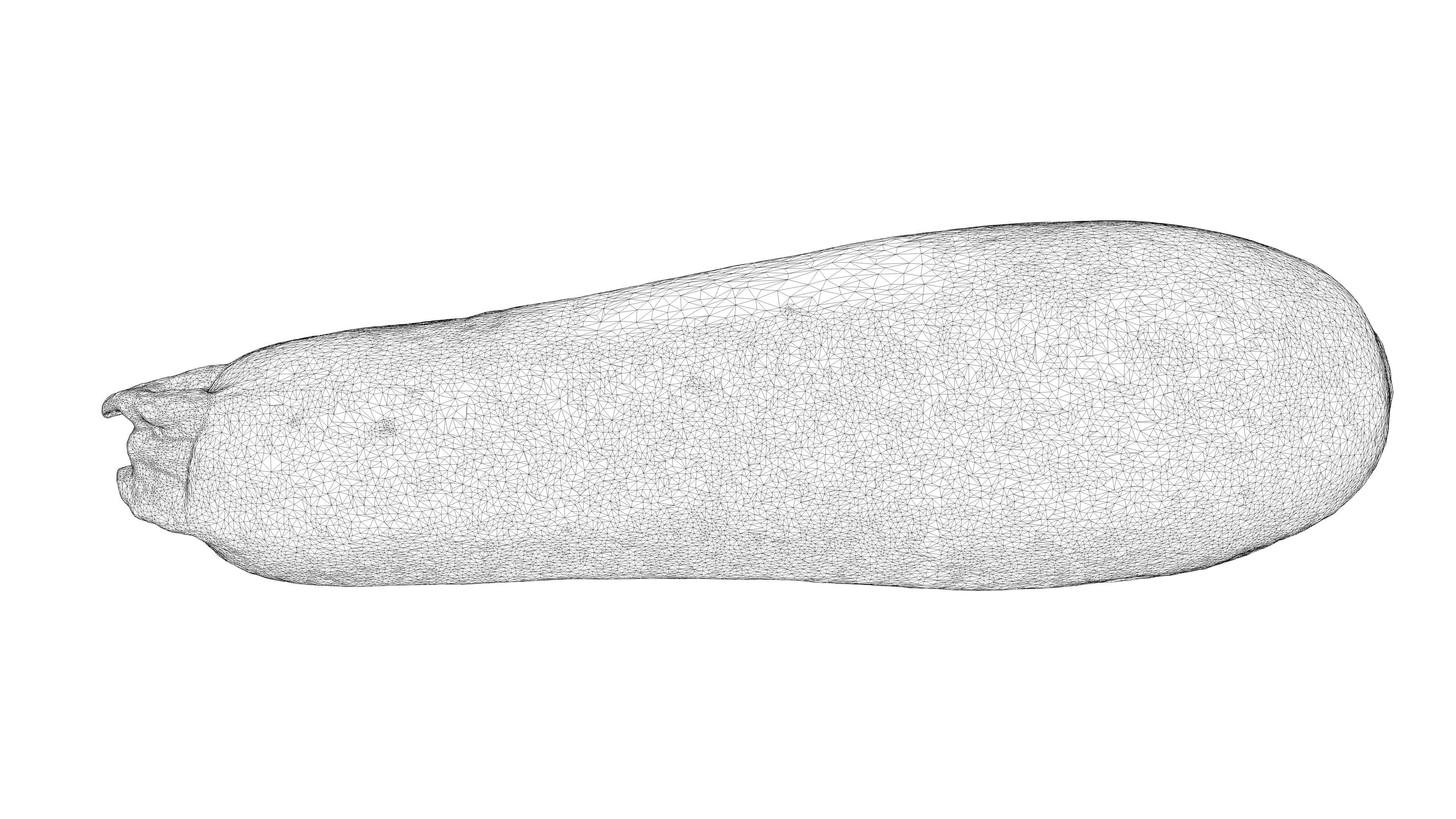 Photorealistic 3D scanning of different vegetables 3D Model Collection_18