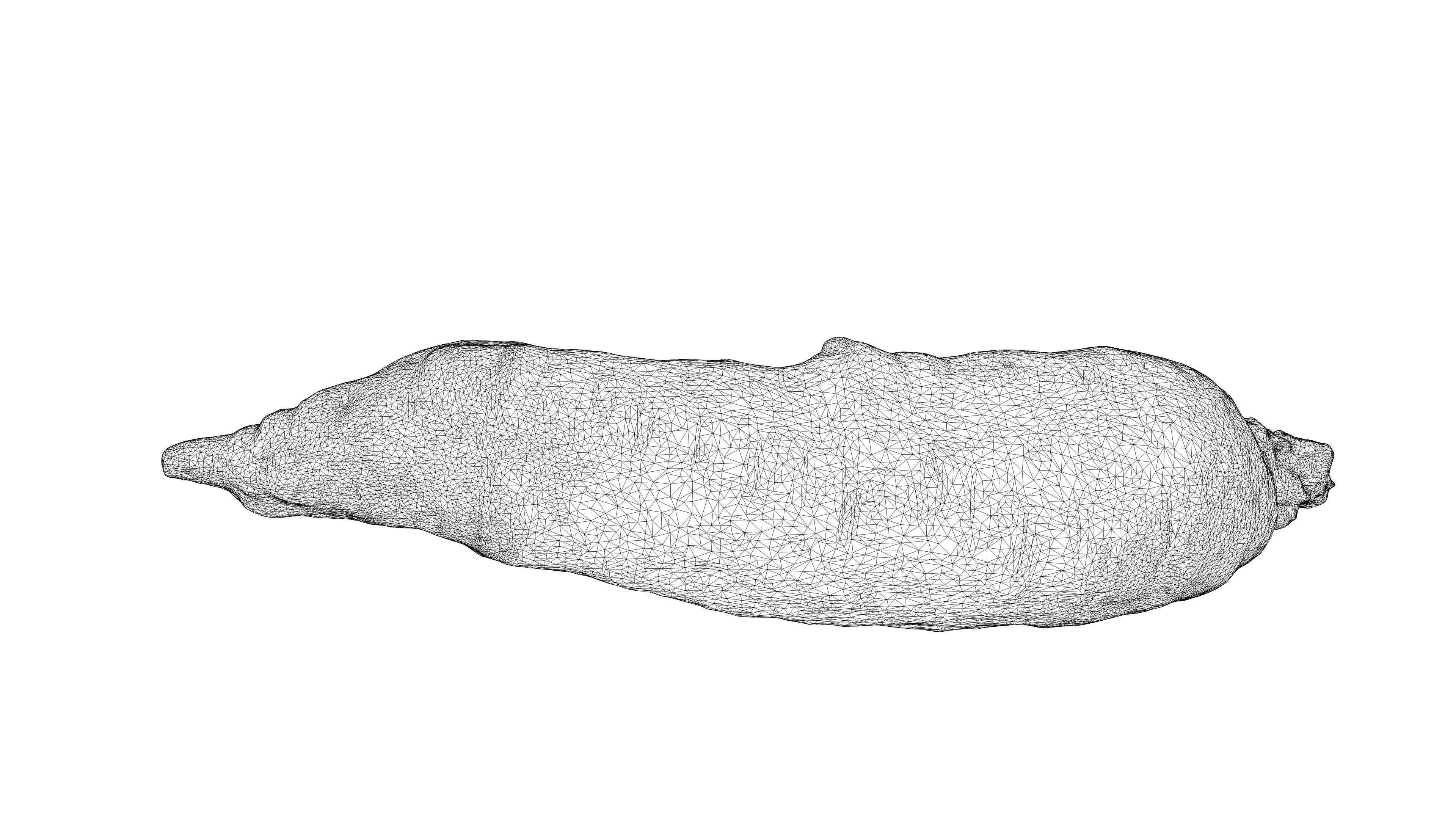 Photorealistic 3D scanning of different vegetables 3D Model Collection_8