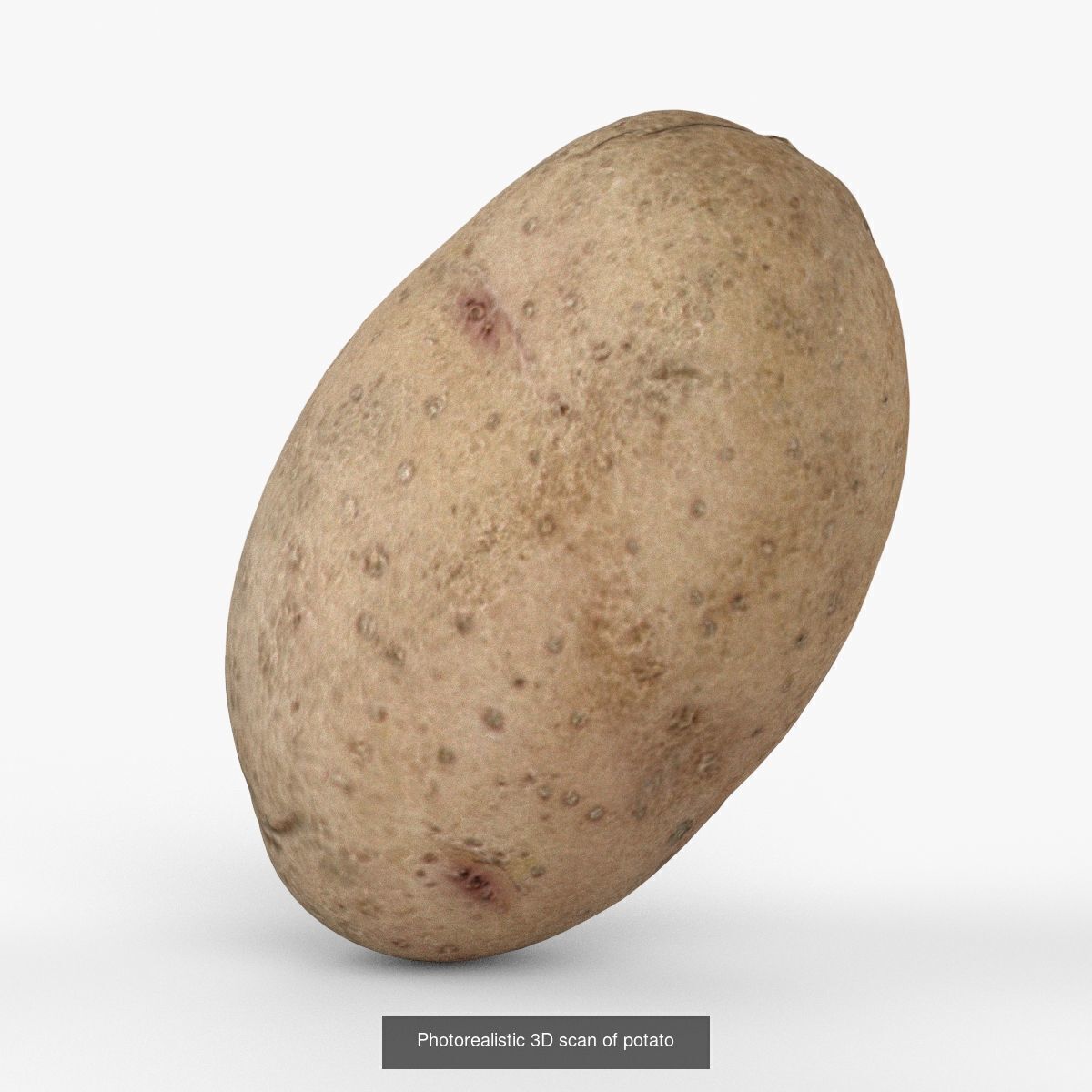 Photorealistic 3D scanning of different vegetables 3D Model Collection_2