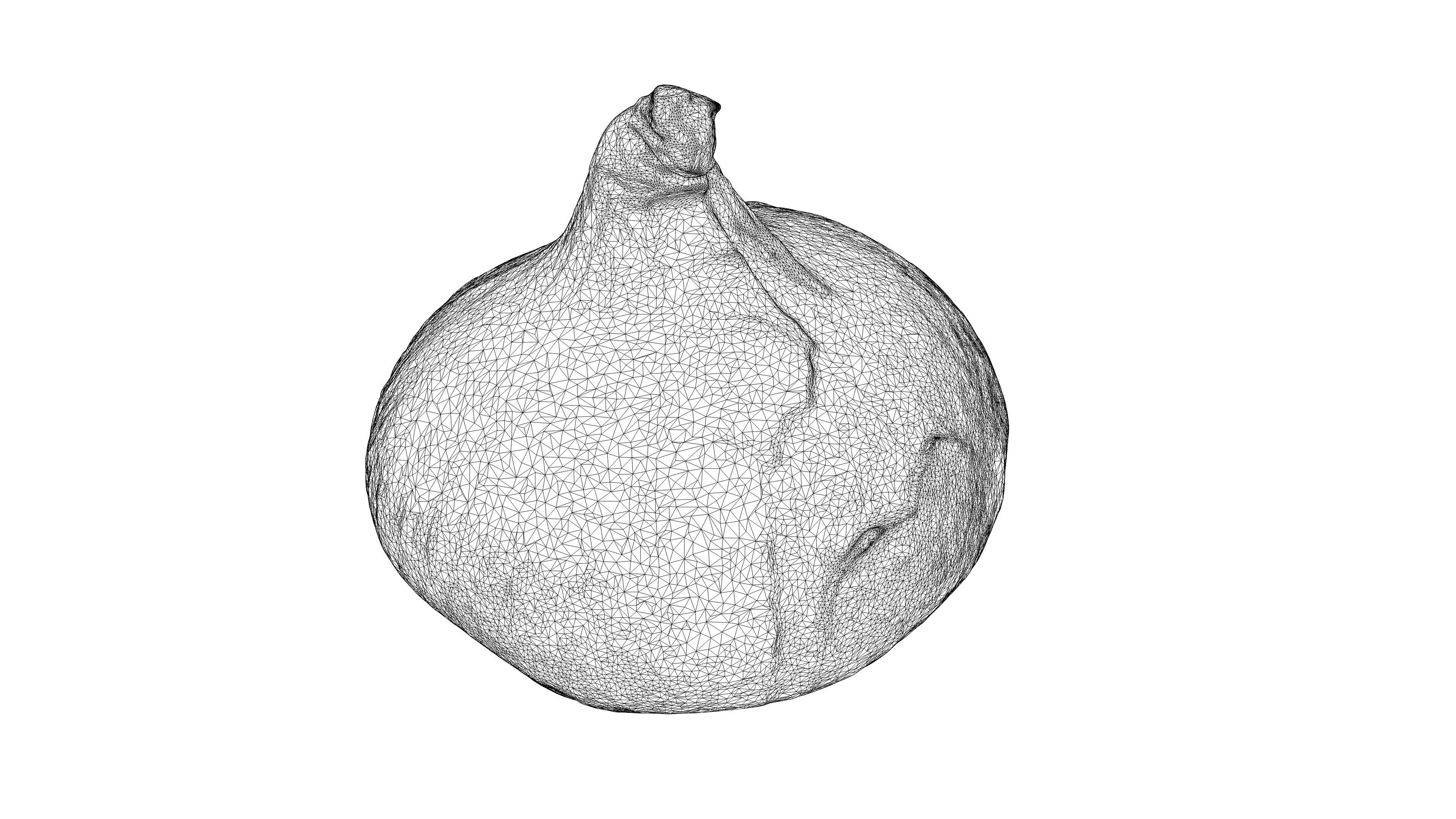 Photorealistic 3D scanning of different vegetables 3D Model Collection_14