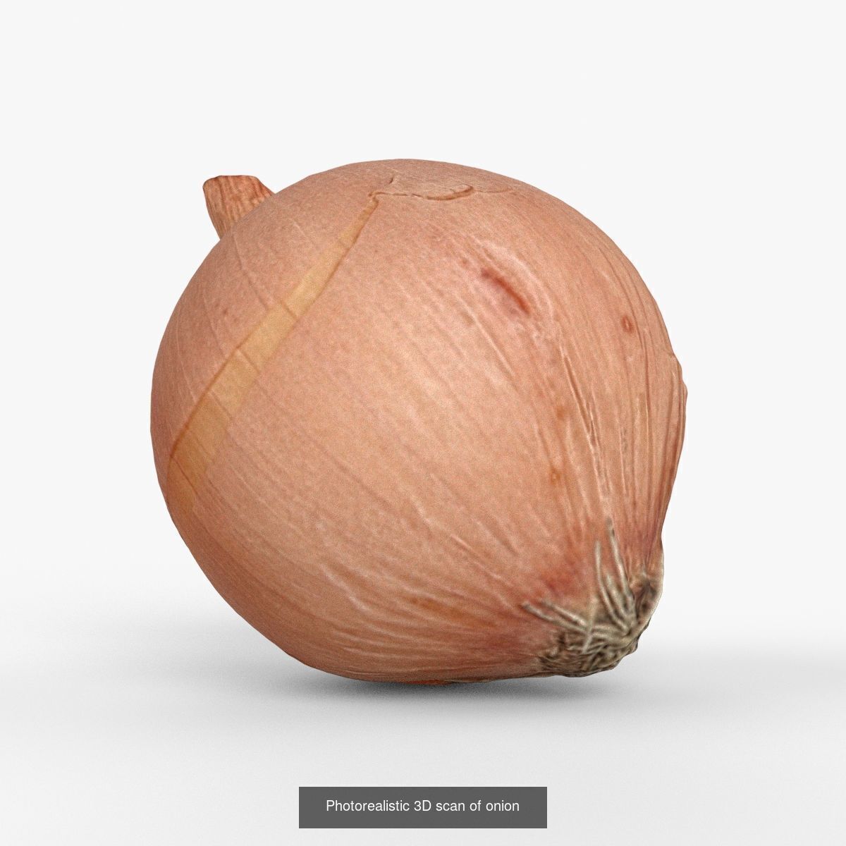 Photorealistic 3D scanning of different vegetables 3D Model Collection_5