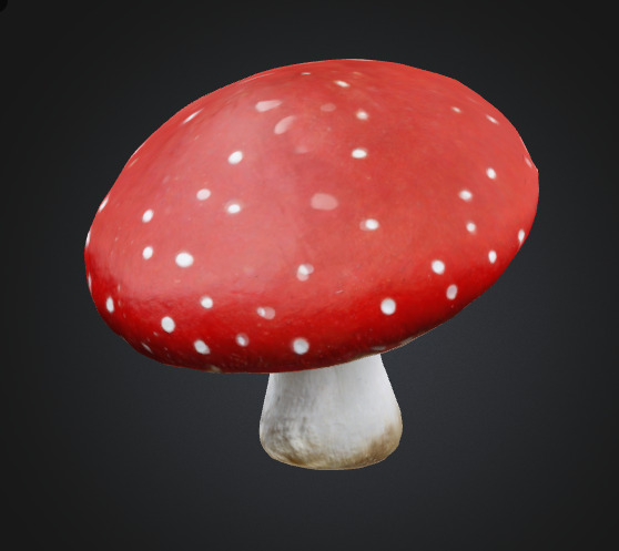 Toadstool mushroom 3D model_1