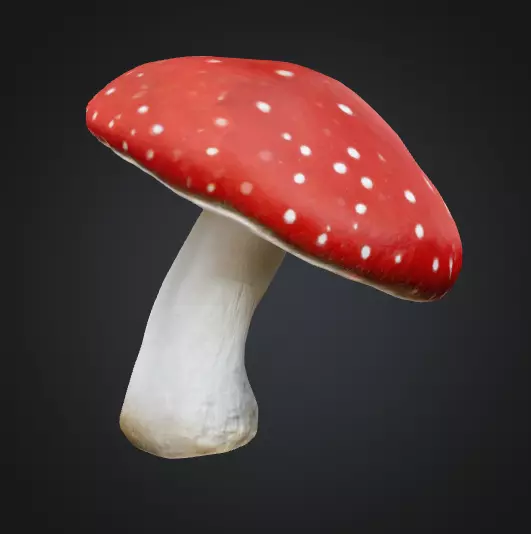Toadstool mushroom 3D model_0