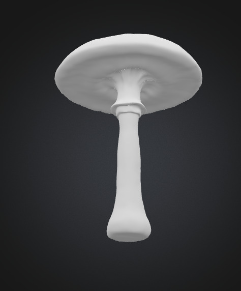 Toadstool mushroom 3D model_4