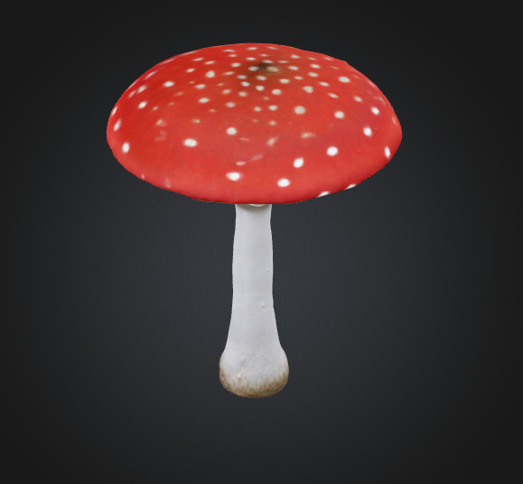 Toadstool mushroom 3D model_2