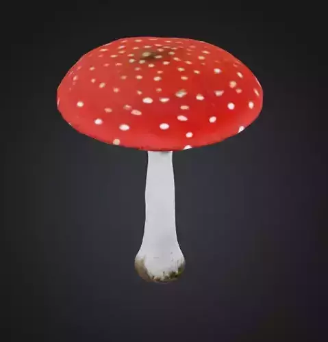 Toadstool mushroom 3D model