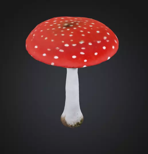 Toadstool mushroom 3D model_0