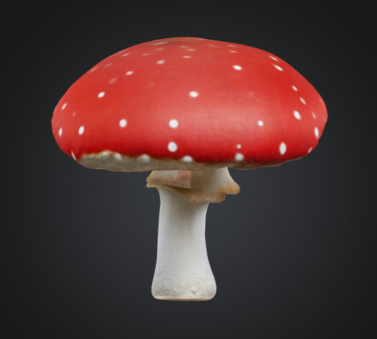 Toadstool mushroom 3D model_3
