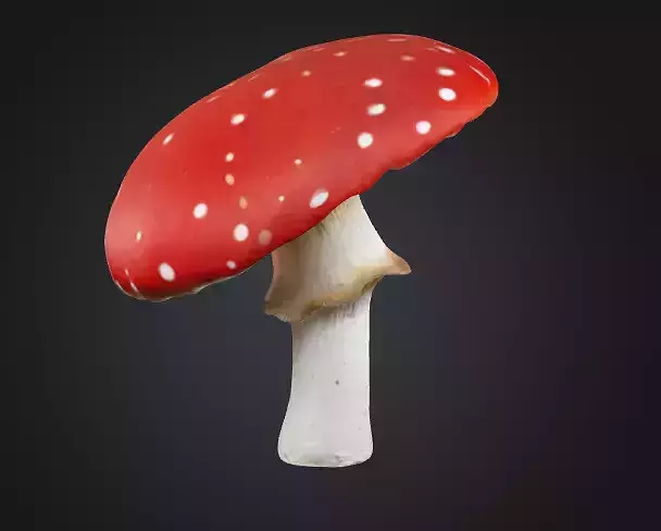 Toadstool mushroom 3D model