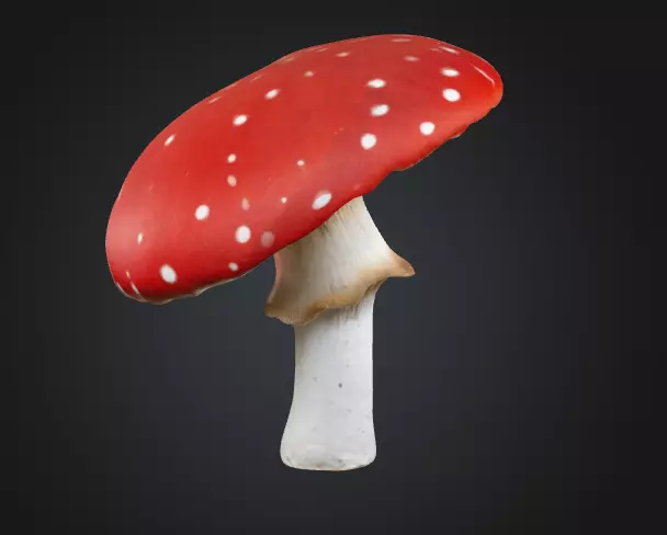 Toadstool mushroom 3D model_0