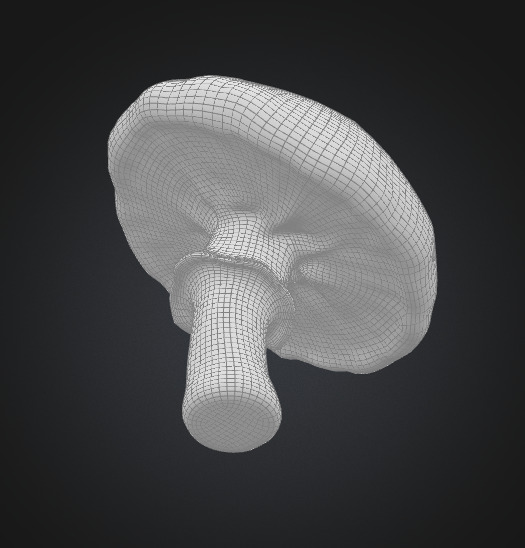 Toadstool mushroom 3D model_5