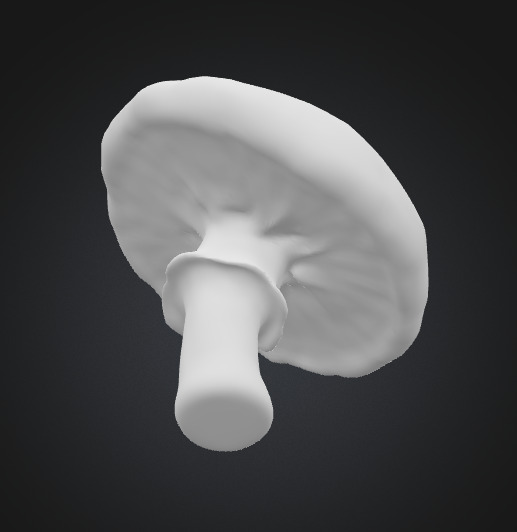 Toadstool mushroom 3D model_4