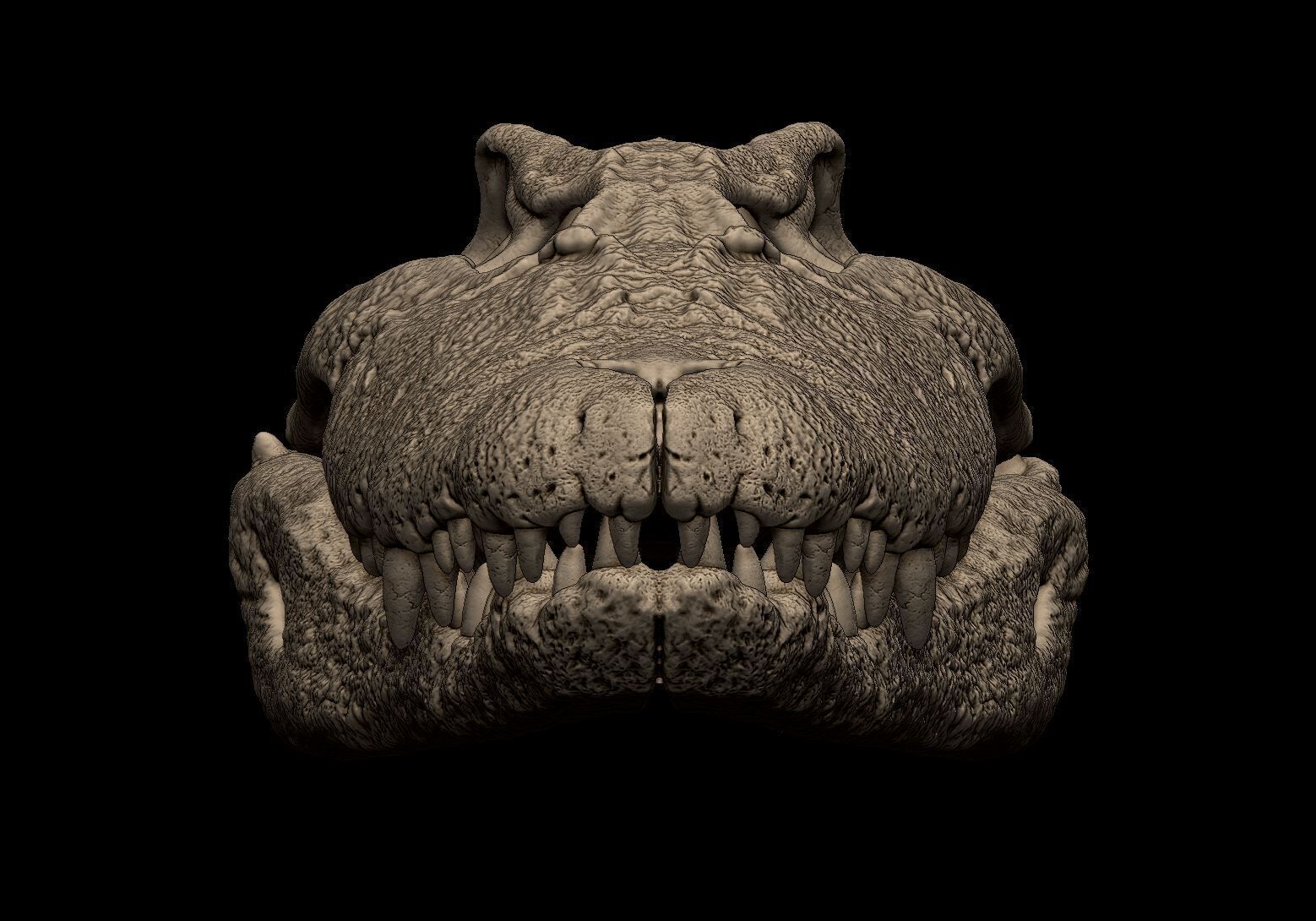 Nile Crocodile Skull 3D print model_3