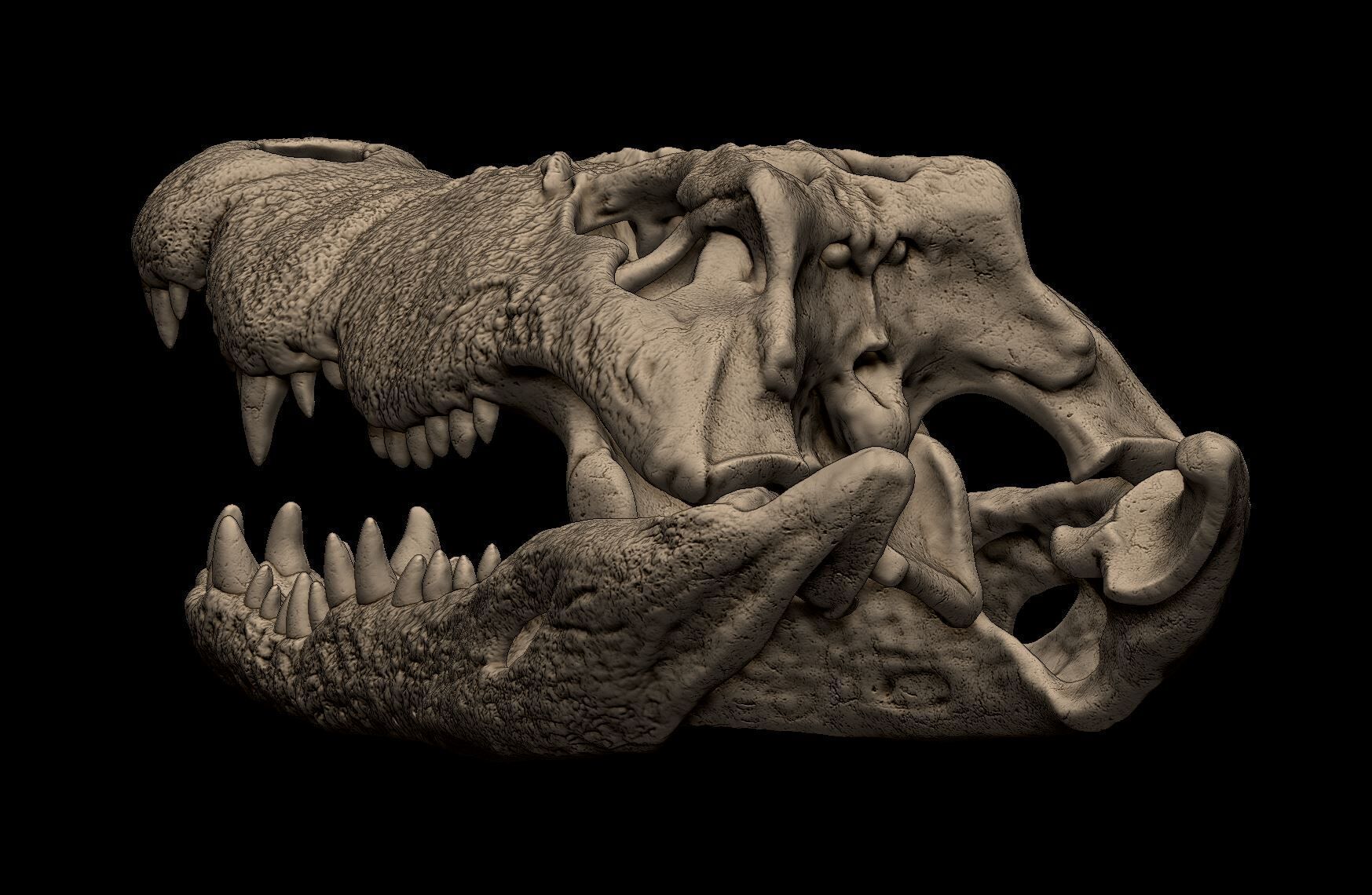 Nile Crocodile Skull 3D print model_6