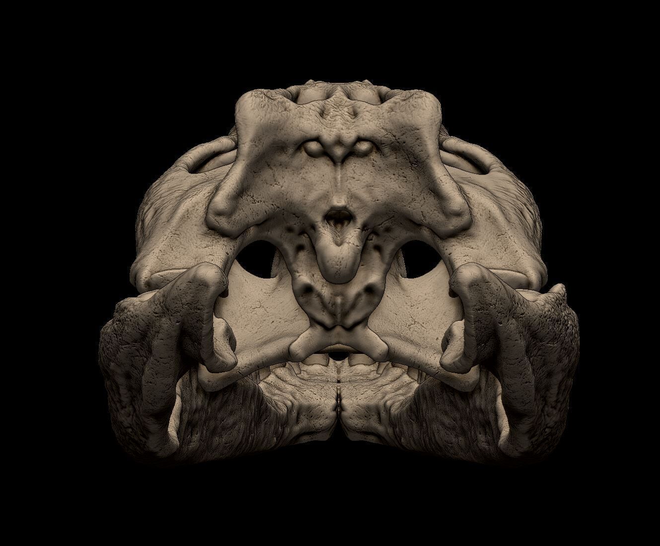 Nile Crocodile Skull 3D print model_7