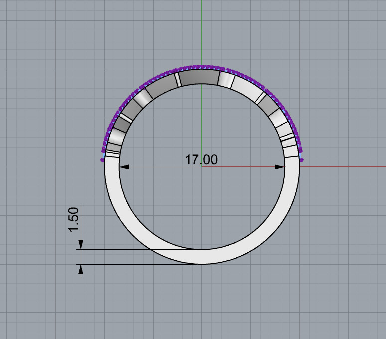 Ring17mm  3D print model_7