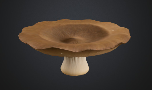 Flat mushroom 3D model_3