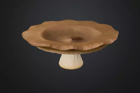 Flat mushroom 3D model_0