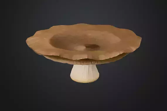 Flat mushroom 3D model