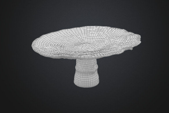 Flat mushroom 3D model_4