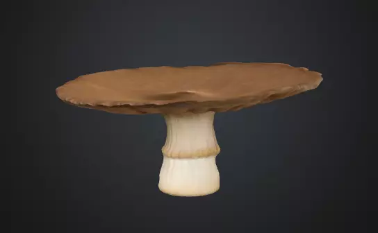 Flat mushroom 3D model_0