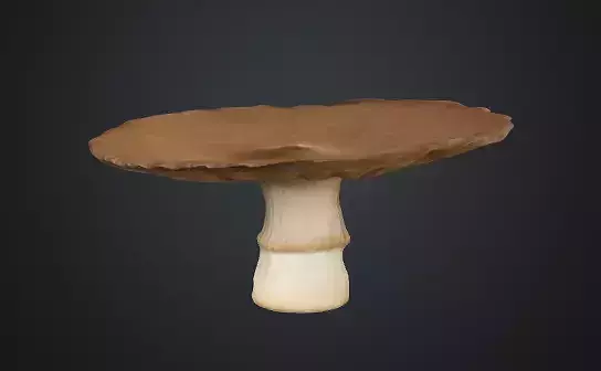 Flat mushroom 3D model