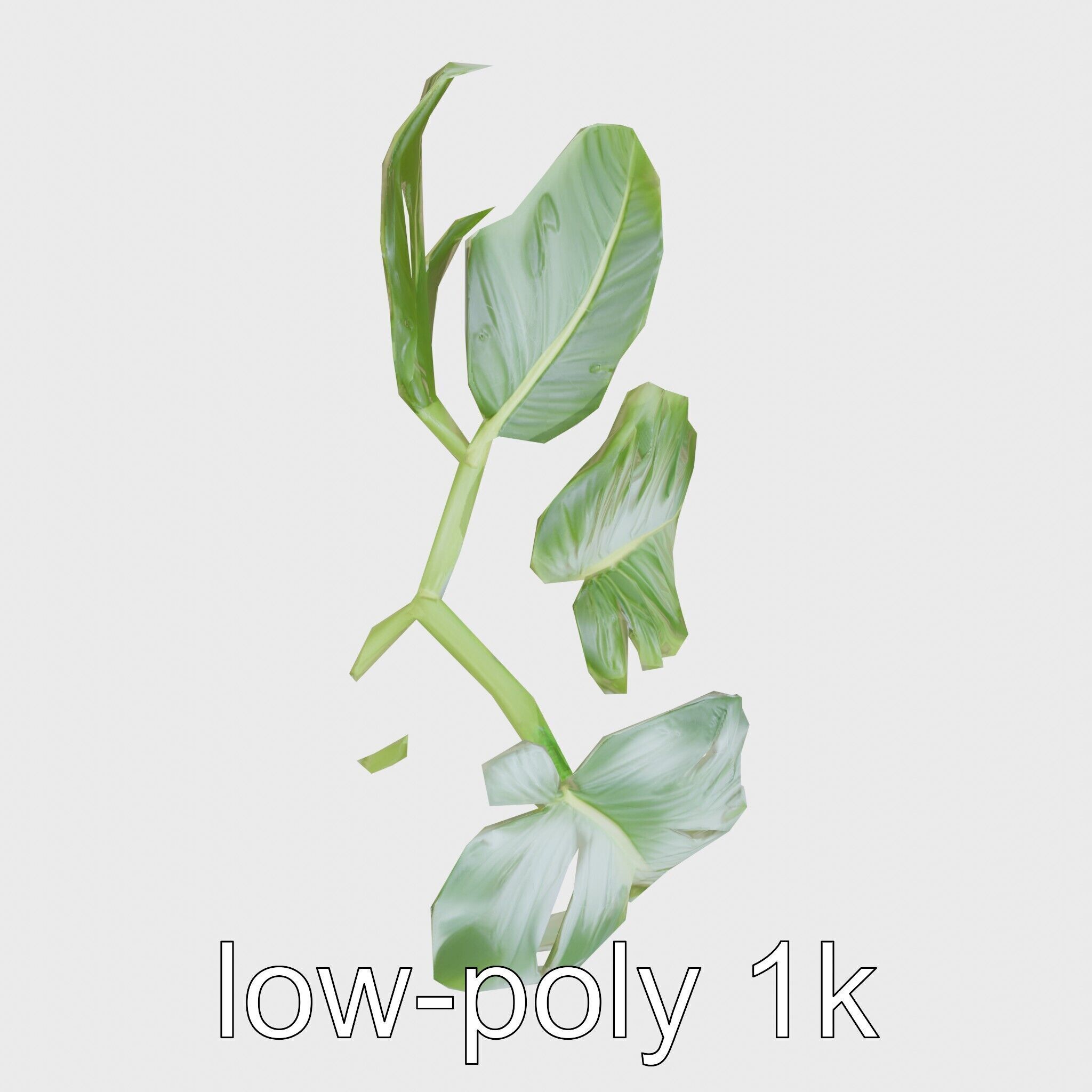 Monstera and Alocasia Leaves Botanical Art model pack Low-poly 3D model_28