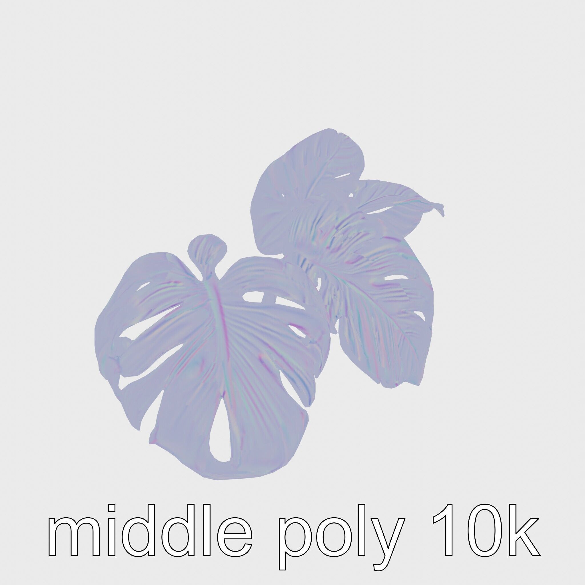 Monstera and Alocasia Leaves Botanical Art model pack Low-poly 3D model_22