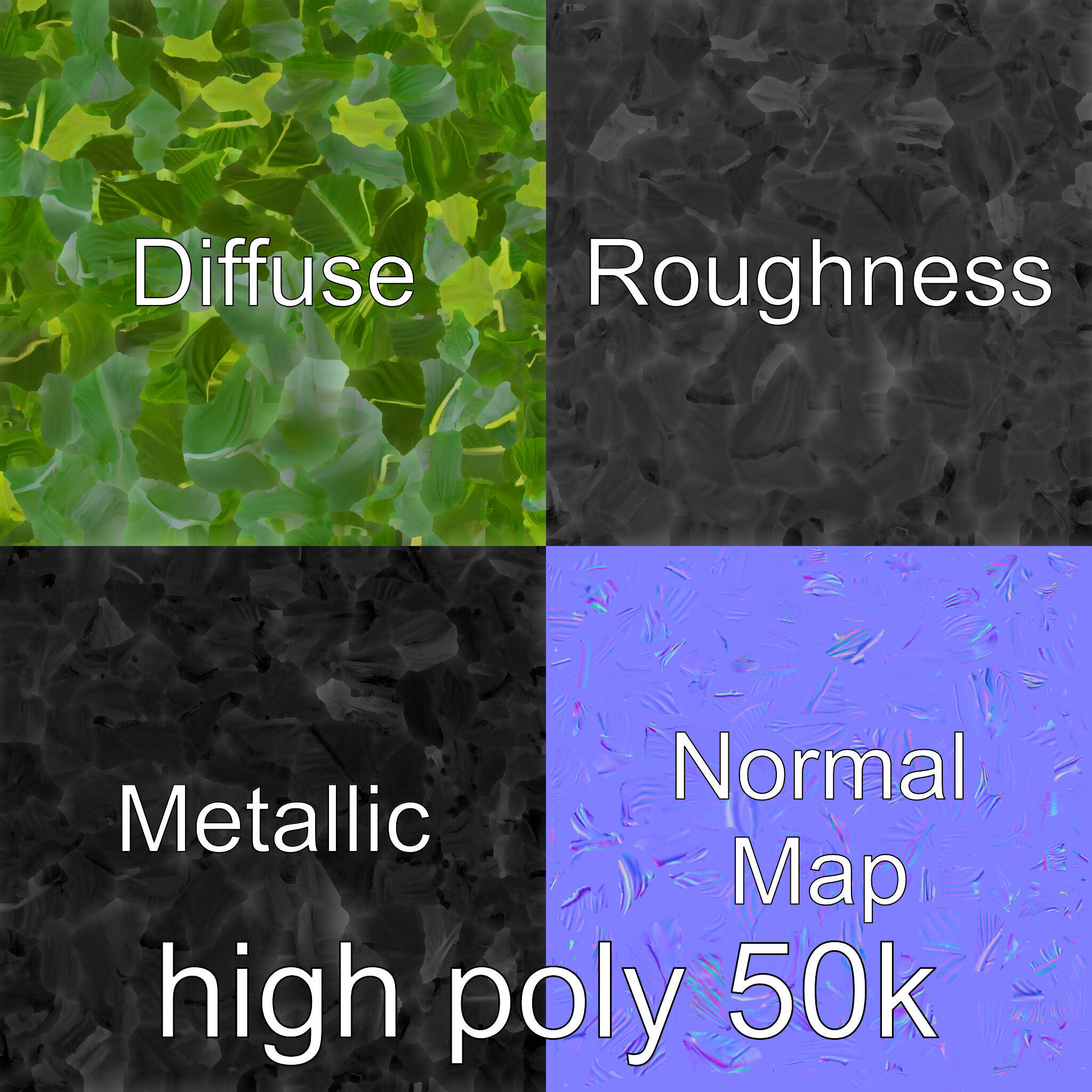 Monstera and Alocasia Leaves Botanical Art model pack Low-poly 3D model_33