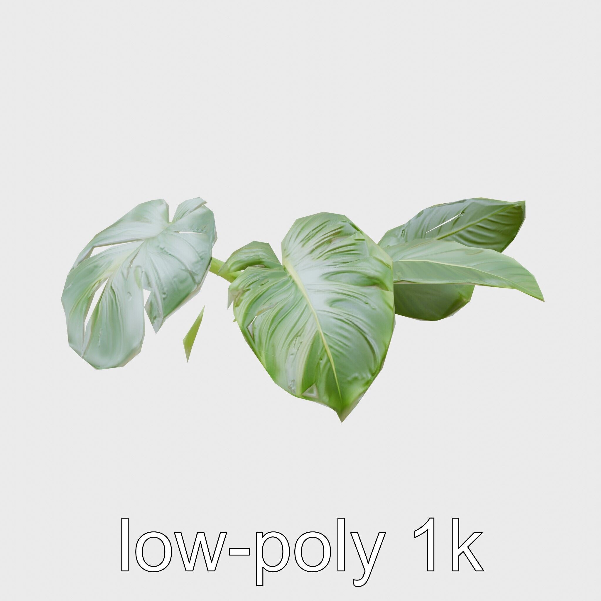 Monstera and Alocasia Leaves Botanical Art model pack Low-poly 3D model_14