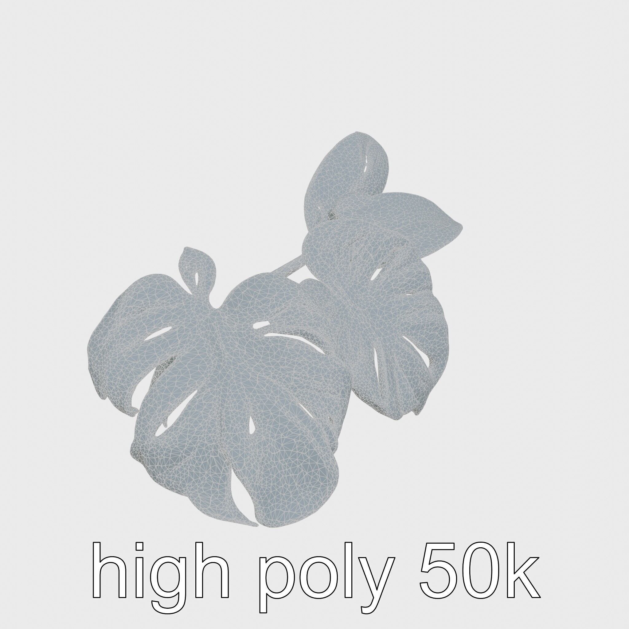 Monstera and Alocasia Leaves Botanical Art model pack Low-poly 3D model_17