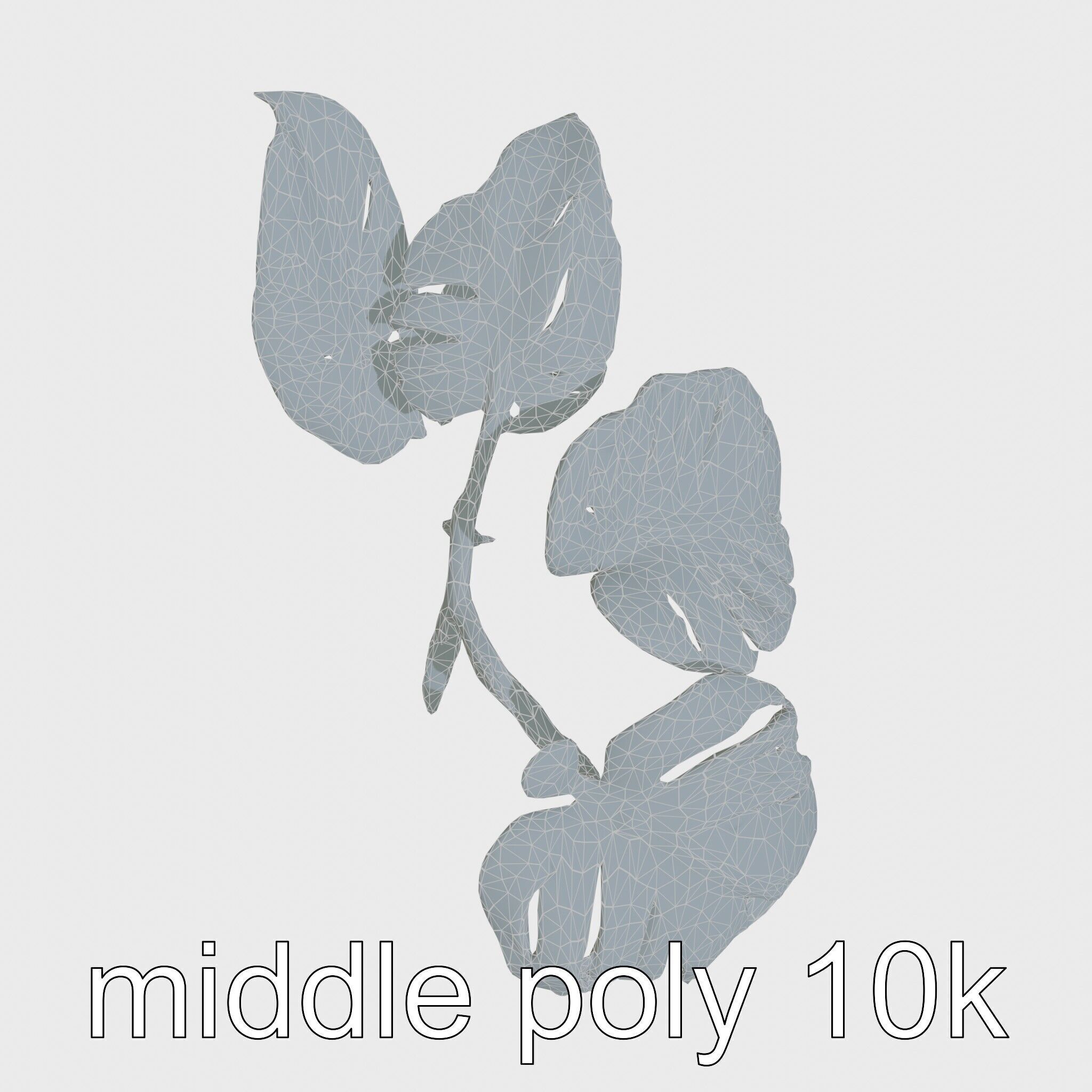 Monstera and Alocasia Leaves Botanical Art model pack Low-poly 3D model_29