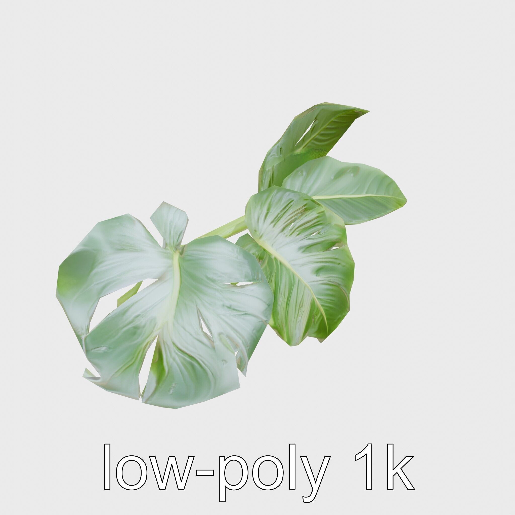 Monstera and Alocasia Leaves Botanical Art model pack Low-poly 3D model_13