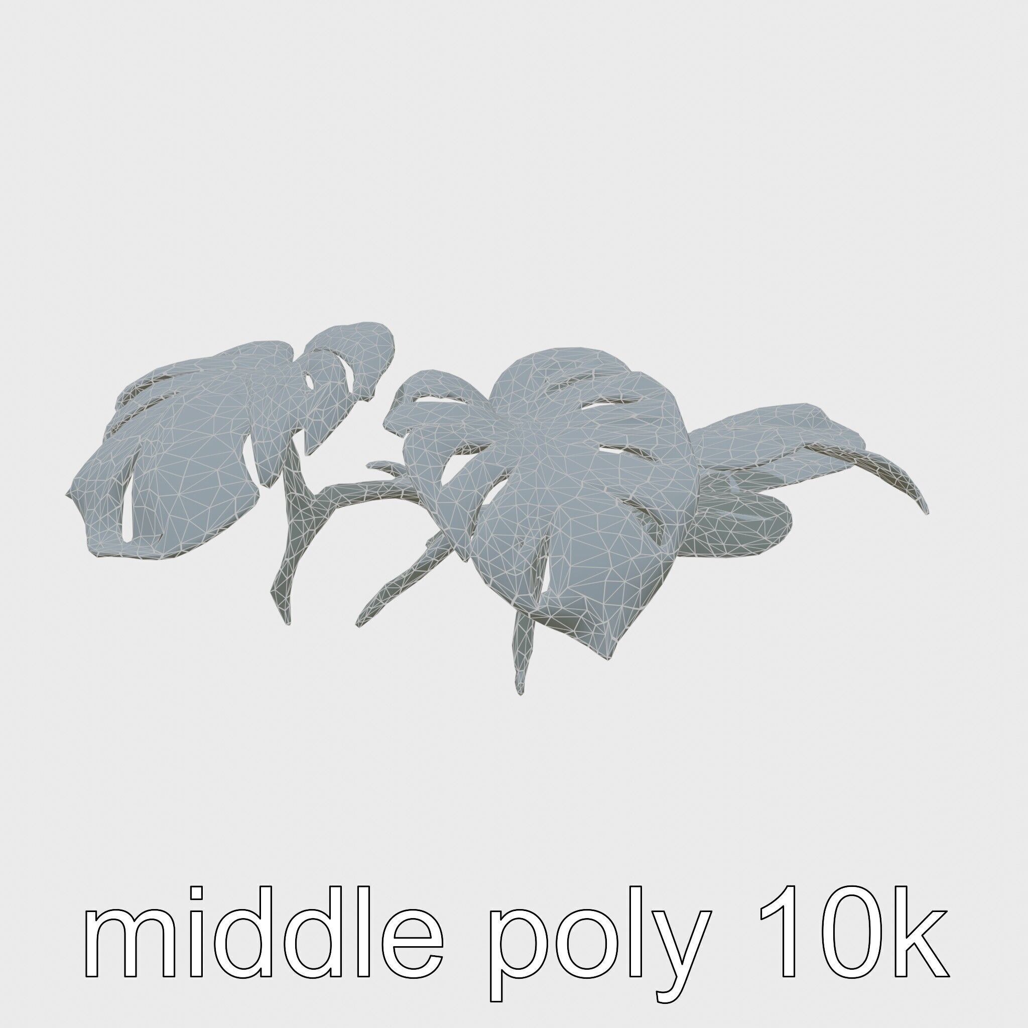 Monstera and Alocasia Leaves Botanical Art model pack Low-poly 3D model_19
