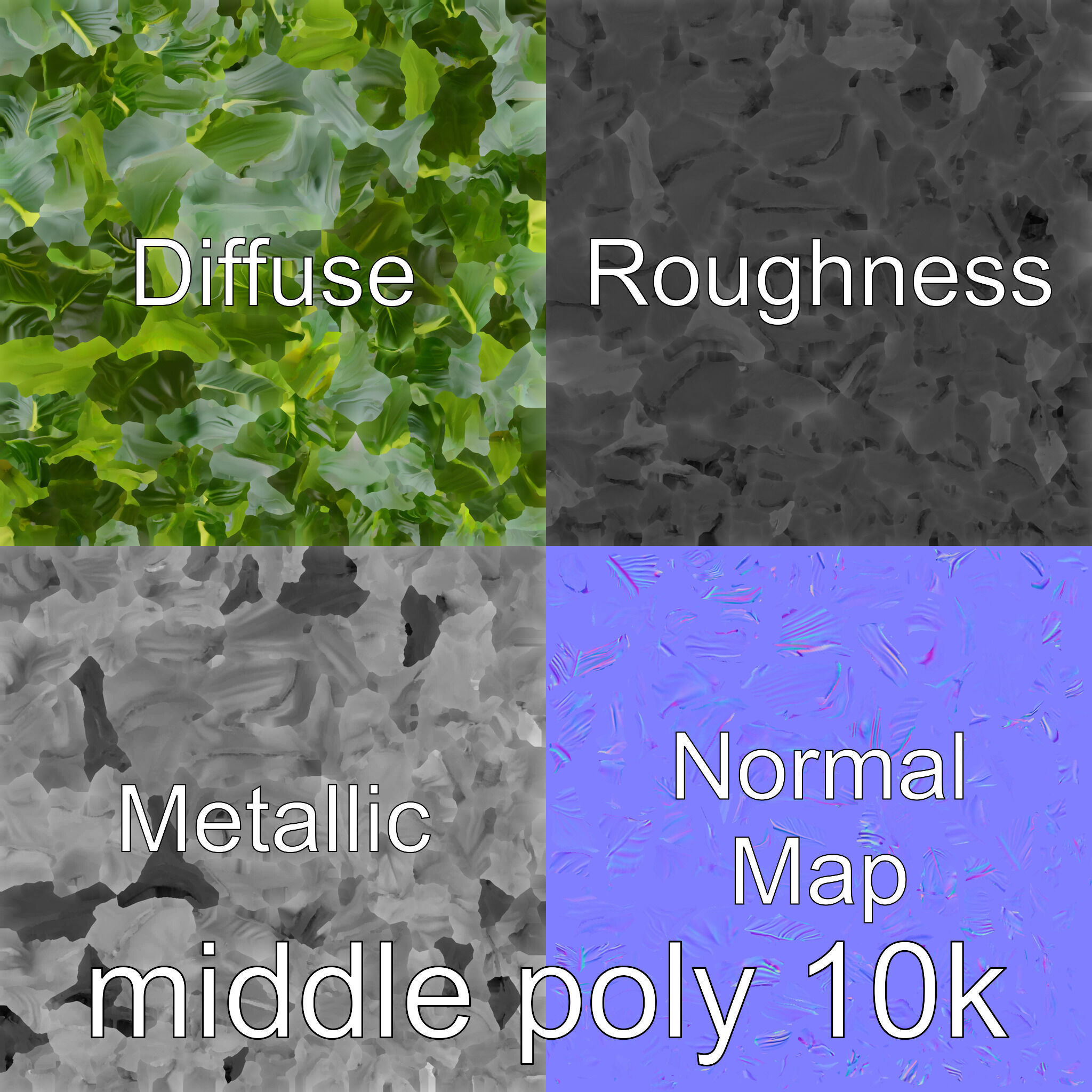 Monstera and Alocasia Leaves Botanical Art model pack Low-poly 3D model_32