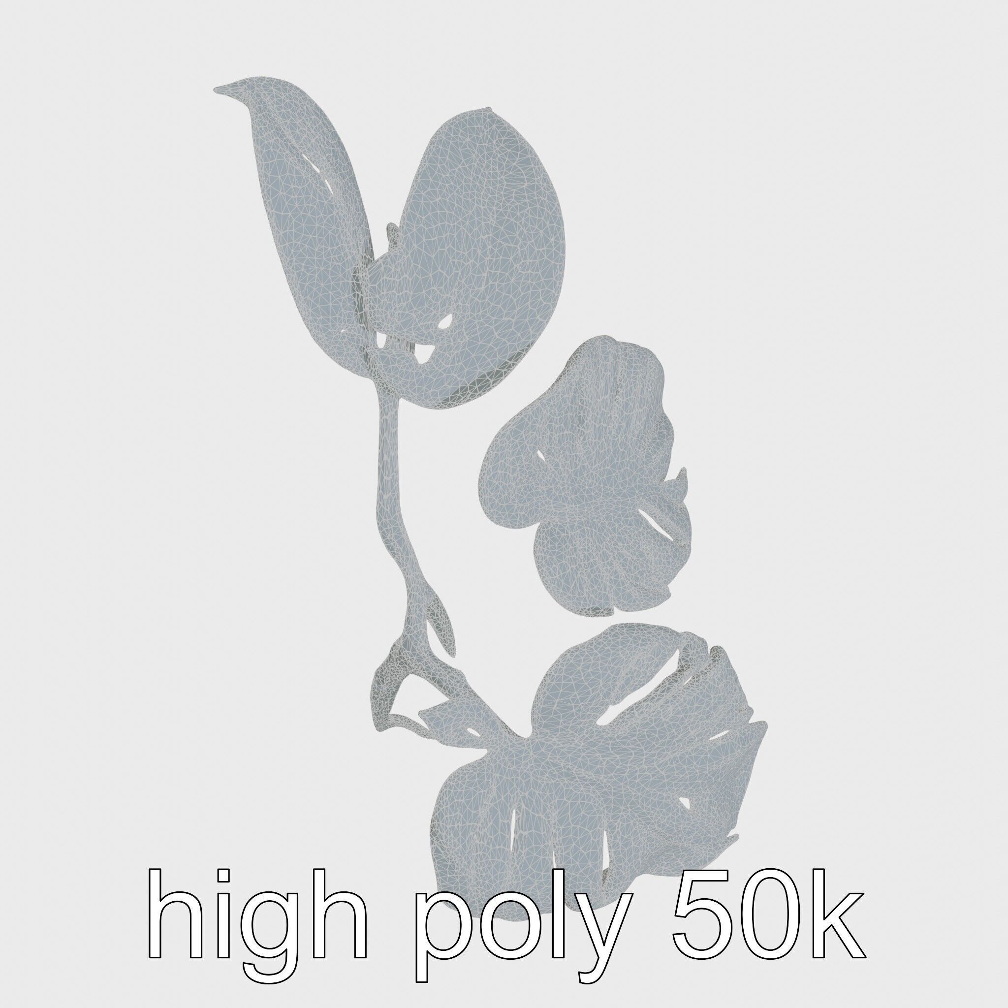 Monstera and Alocasia Leaves Botanical Art model pack Low-poly 3D model_26