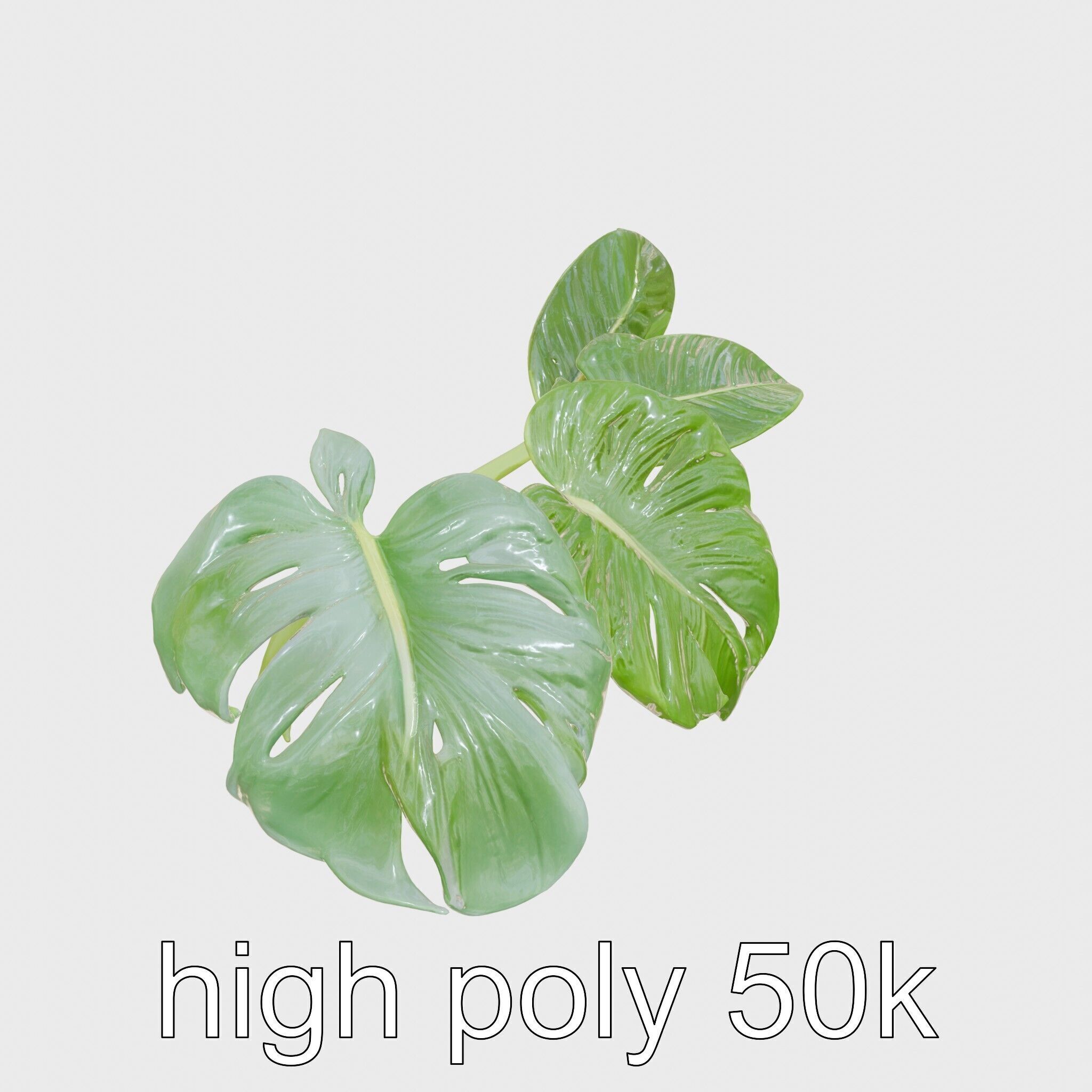 Monstera and Alocasia Leaves Botanical Art model pack Low-poly 3D model_11