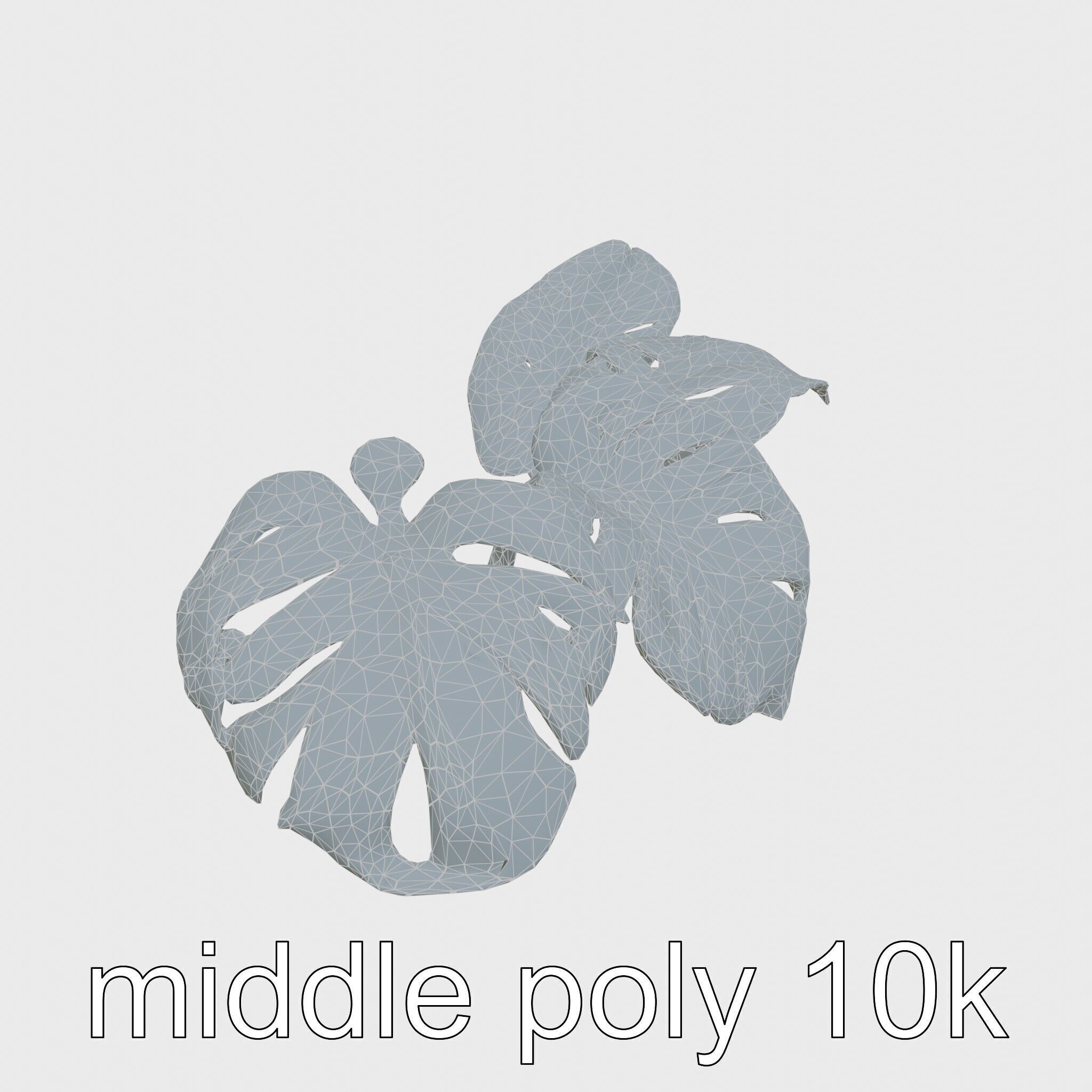 Monstera and Alocasia Leaves Botanical Art model pack Low-poly 3D model_31