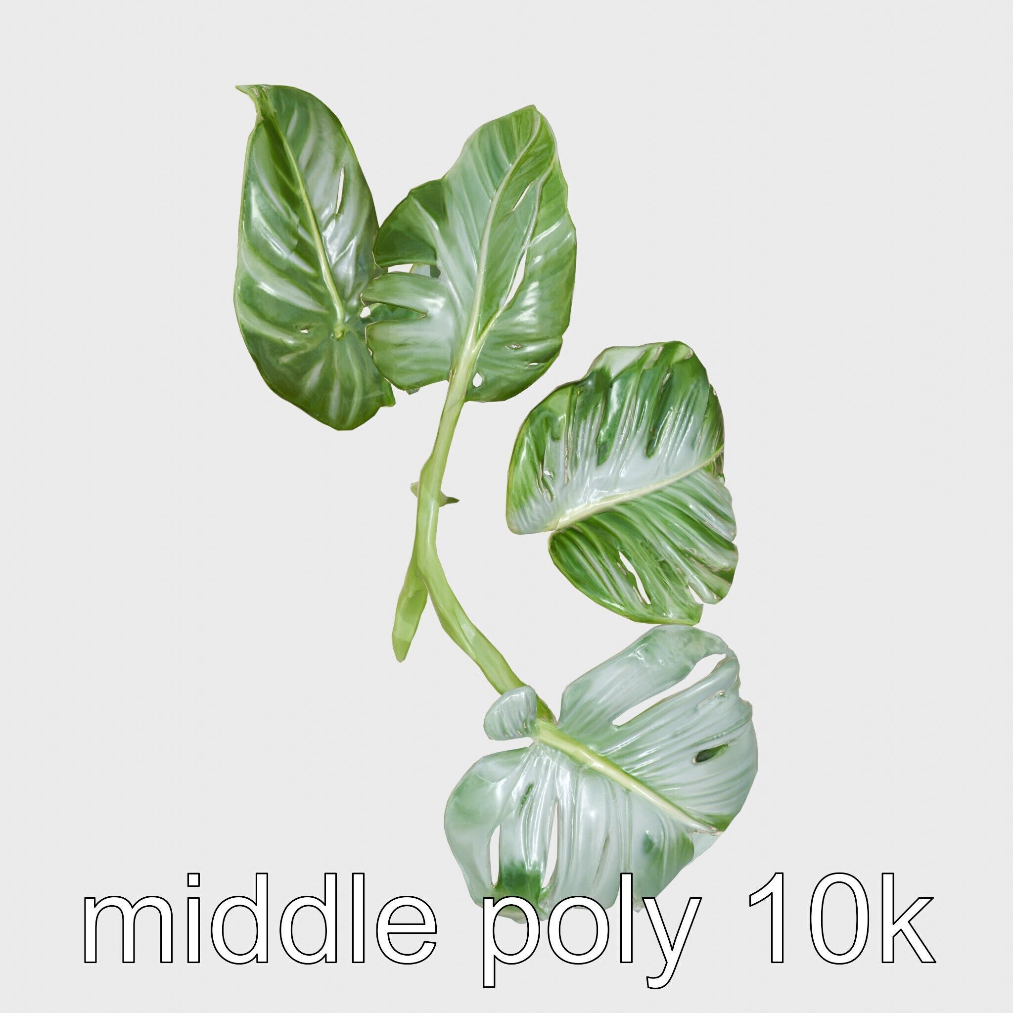 Monstera and Alocasia Leaves Botanical Art model pack Low-poly 3D model_20