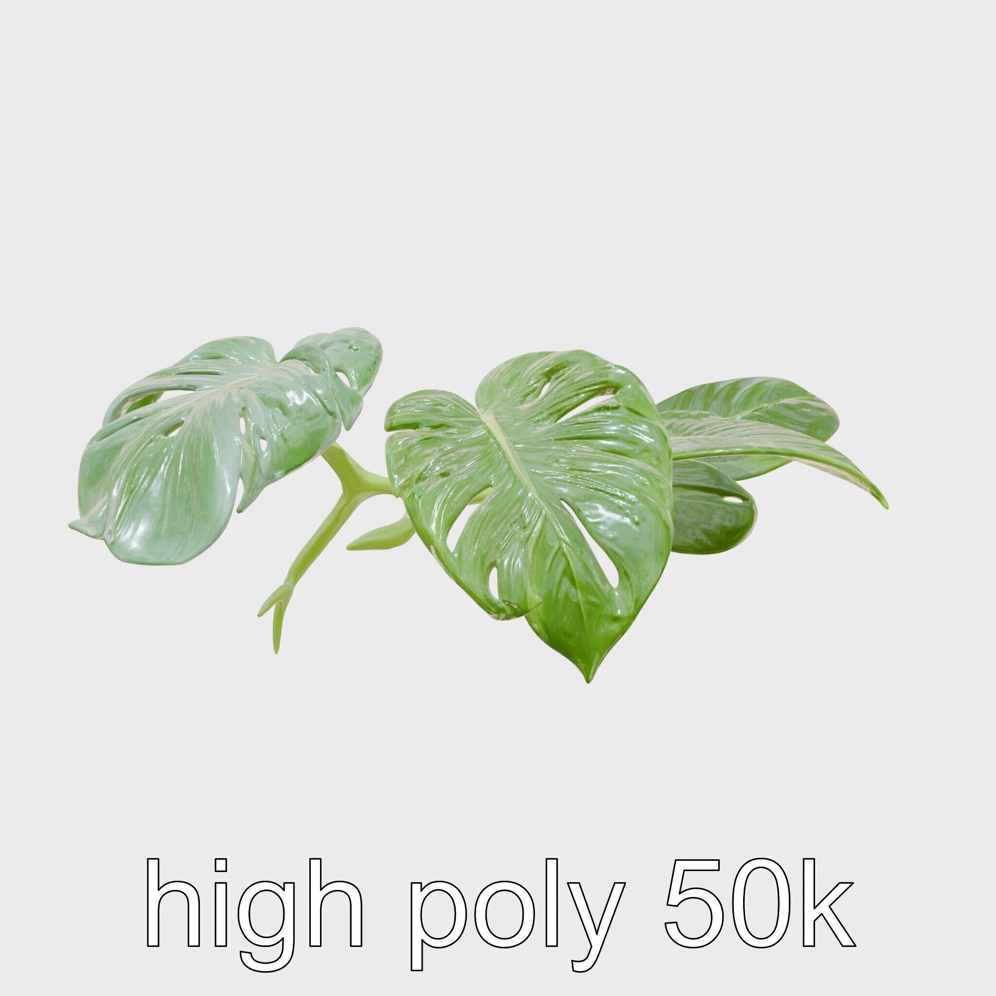 Monstera and Alocasia Leaves Botanical Art model pack Low-poly 3D model_21