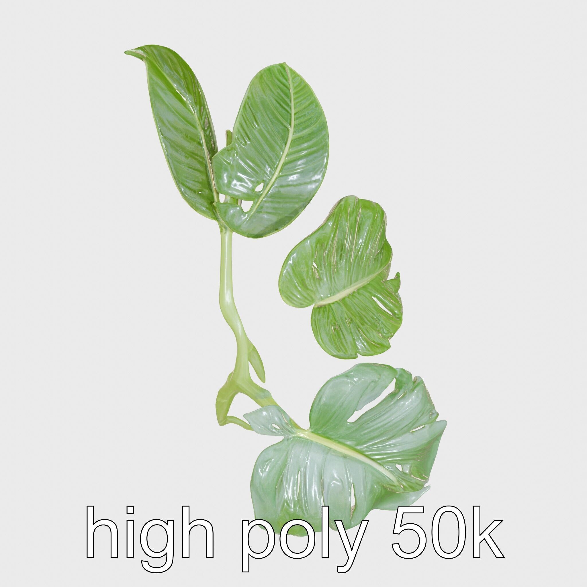 Monstera and Alocasia Leaves Botanical Art model pack Low-poly 3D model_16