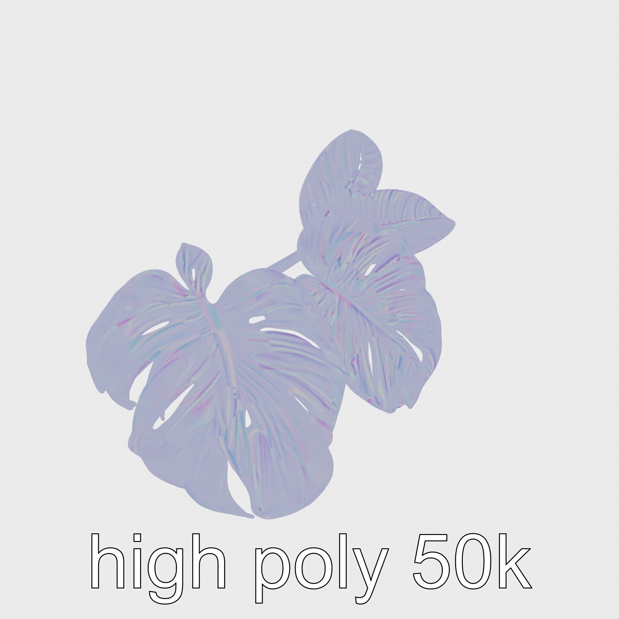 Monstera and Alocasia Leaves Botanical Art model pack Low-poly 3D model_27