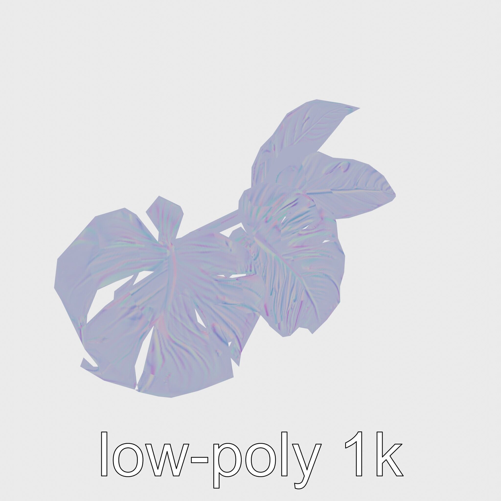 Monstera and Alocasia Leaves Botanical Art model pack Low-poly 3D model_18